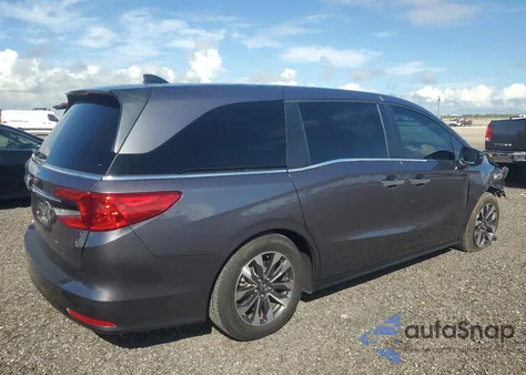 2024 Honda Odyssey Exl z USA, uszkodzony, nr VIN 5FNRL6H62RB069569